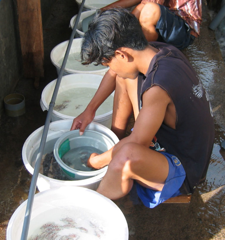 Article image for Alternatives for reef fishing