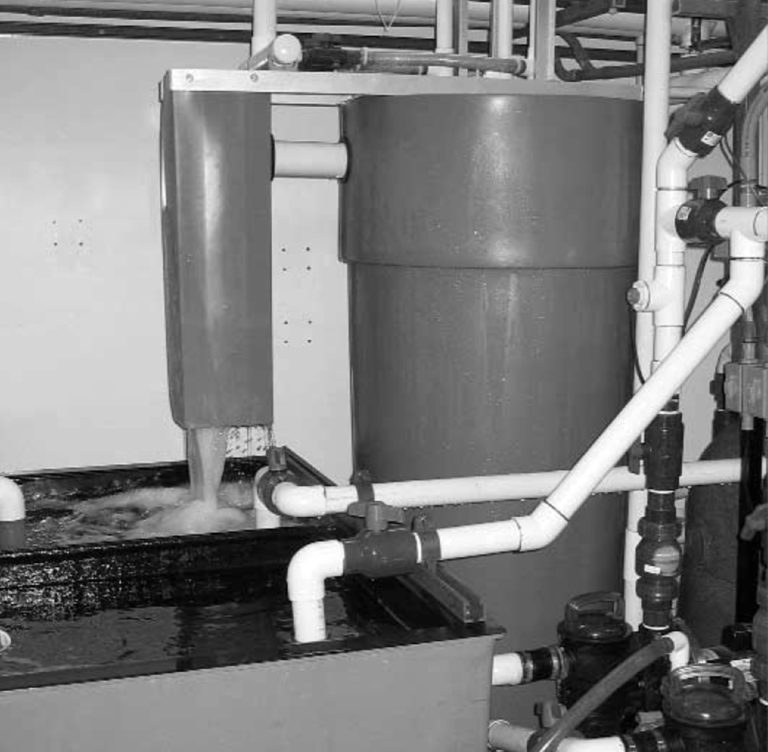 Article image for No-maintenance filtration for hatcheries