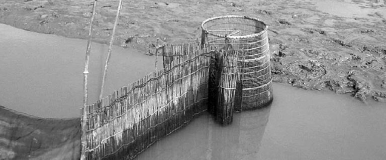 Article image for Coastal aquaculture supports varied systems in Haiphong