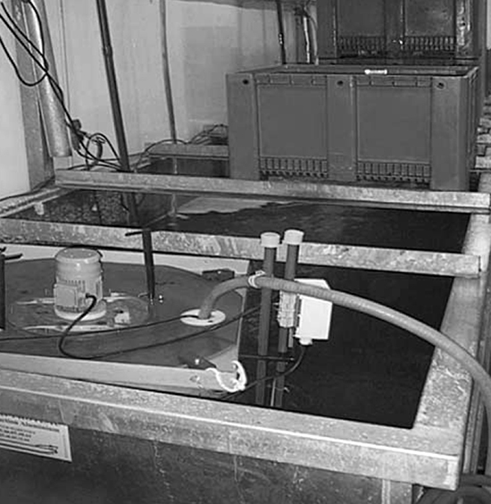 Article image for Floating skimmers improve water quality in tanks, ponds