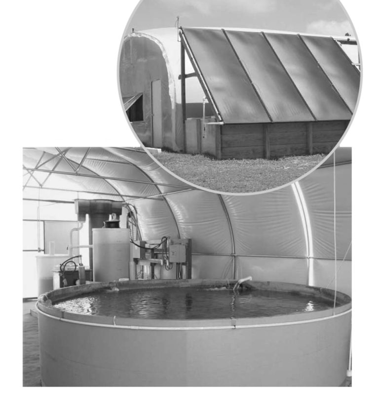 Article image for Solar energy technology for aquaculture