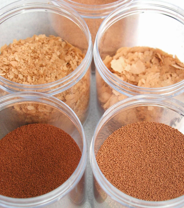 Article image for Larval shrimp nutrition, a review