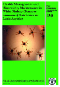 FAO publishes guidelines for white shrimp hatcheries
