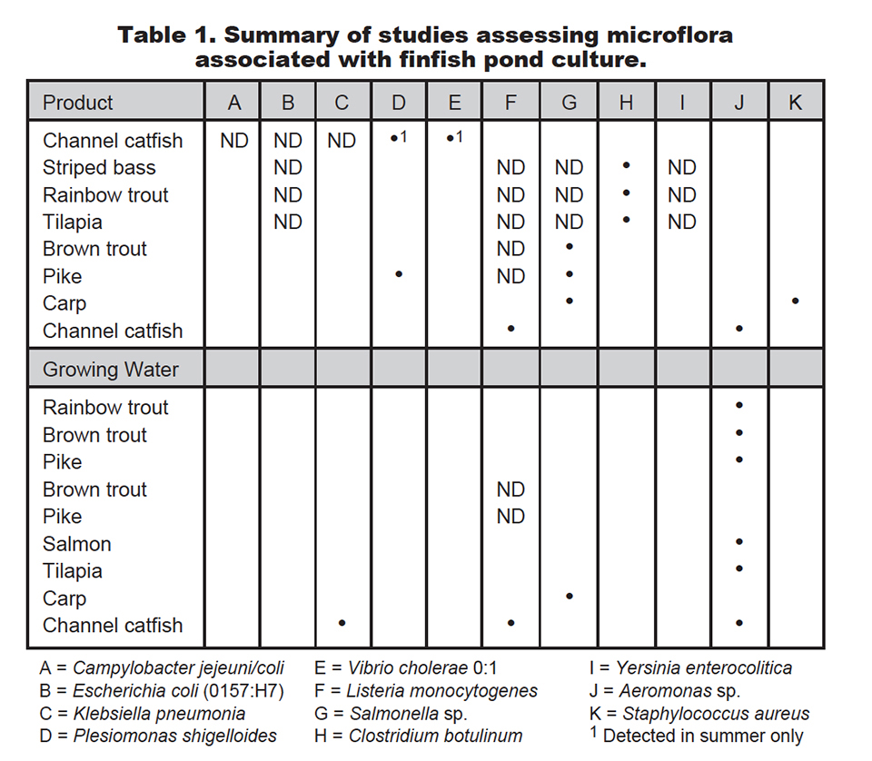 Article image for Microbial flora of aquaculture products