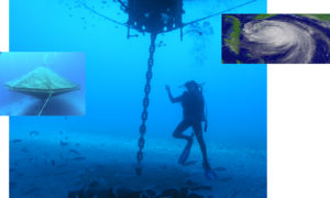 Offshore cages survive hurricanes