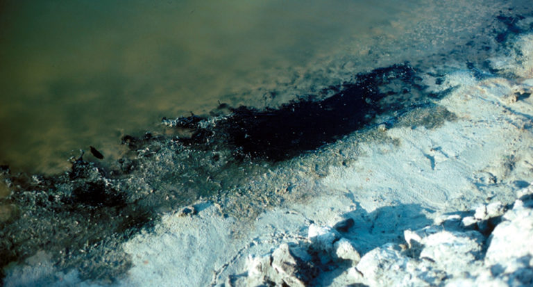 Article image for Sediment microbiology, management
