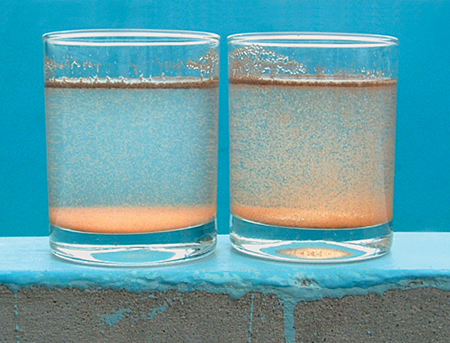 Article image for Integrated health management combines hygiene, targeted treatments in shrimp hatcheries