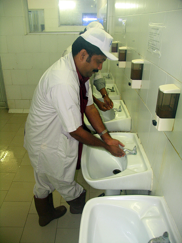 Article image for Effective biosecurity requires more than window dressing