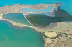 Sediment quality affects shrimp physiology in New Caledonia research