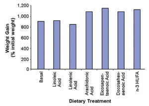 Advances in triglyceride, fatty acid nutrition in penaeid shrimp
