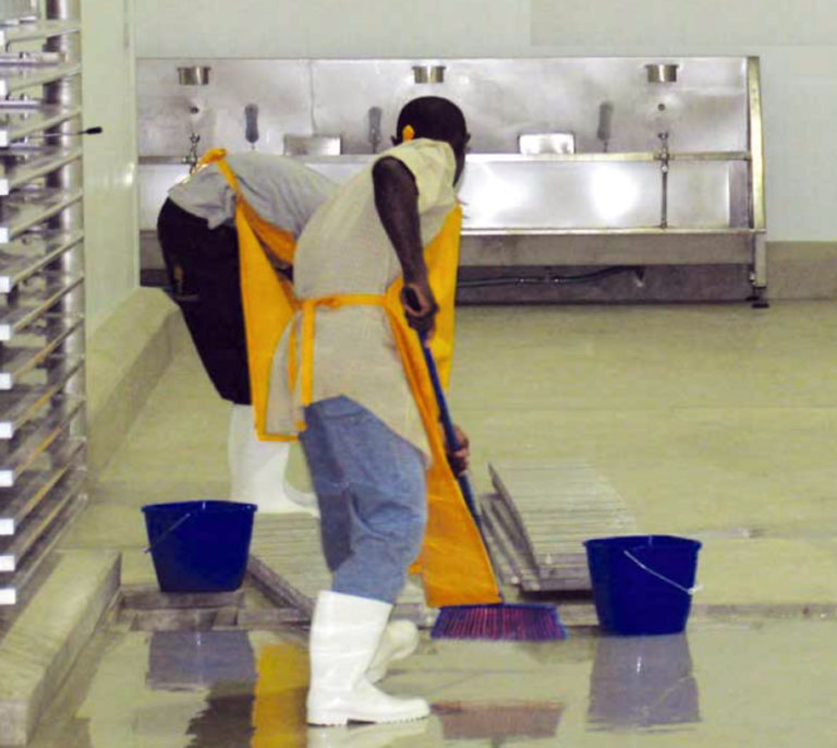 Article image for Beyond HACCP: Total procedures manuals, Part 2