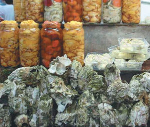 Aquaculture diversification in Chile: Potential of giant barnacles