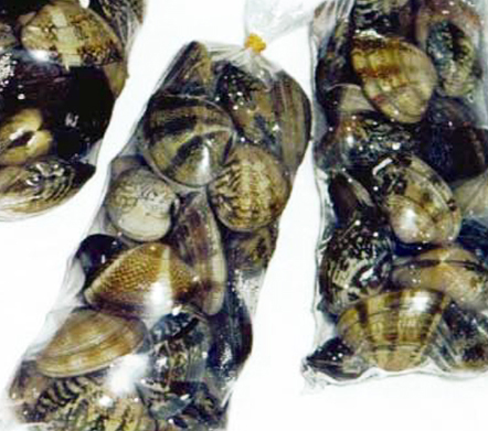 Article image for Hepatitis E an emerging foodborne illness