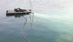 Oxygen injection systems provide emergency aeration, D.O. management