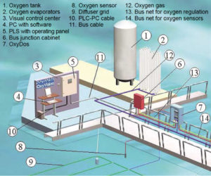 Oxygen injection system helps manage D.O. in salmon cages
