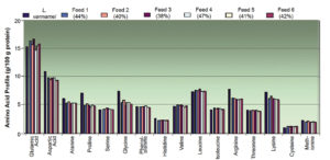 Leaching impacts amino acid profiles of commercial shrimp feeds