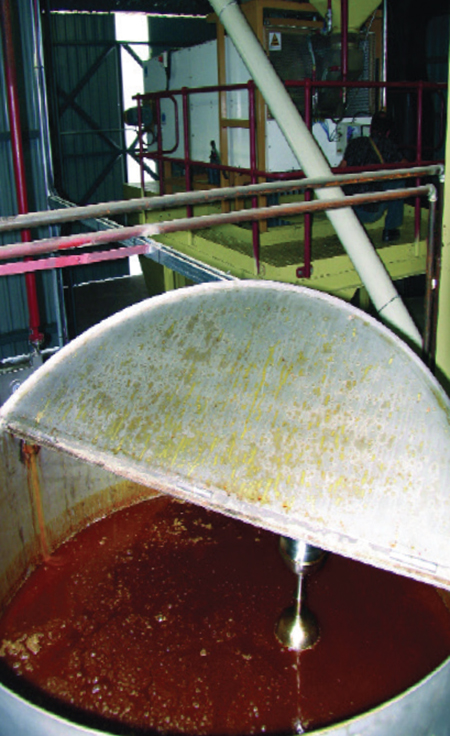 Article image for Nutrient requirements of penaeid shrimp