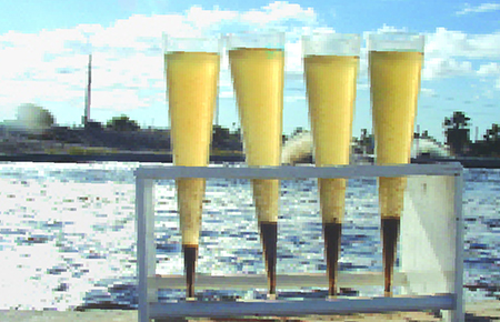 Article image for Tilapia harvest microbial flocs in active suspension research pond