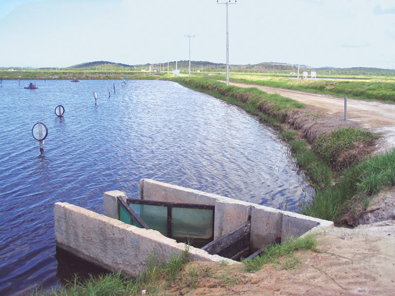 Article image for Measuring water flow
