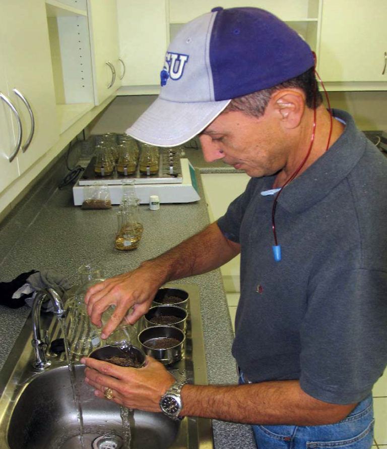 Article image for Measuring shrimp feed water stability