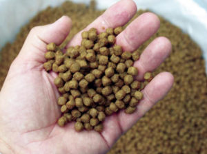 Feed efficiency indicators for responsible aquaculture