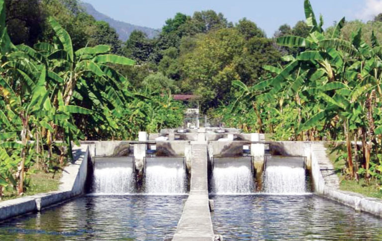 Article image for BMPs proposed for food safety in rainbow trout culture in Mexico