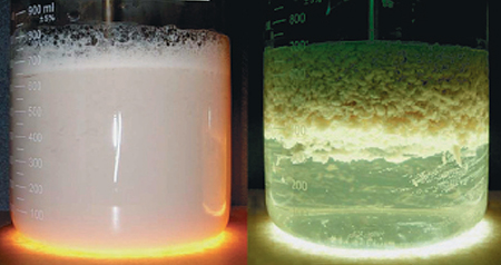 Article image for Pilot system recovers protein, lipids from fish byproducts