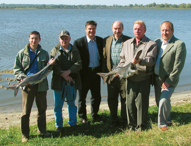 Article image for Paddlefish culture expanding beyond U.S., Russia, China