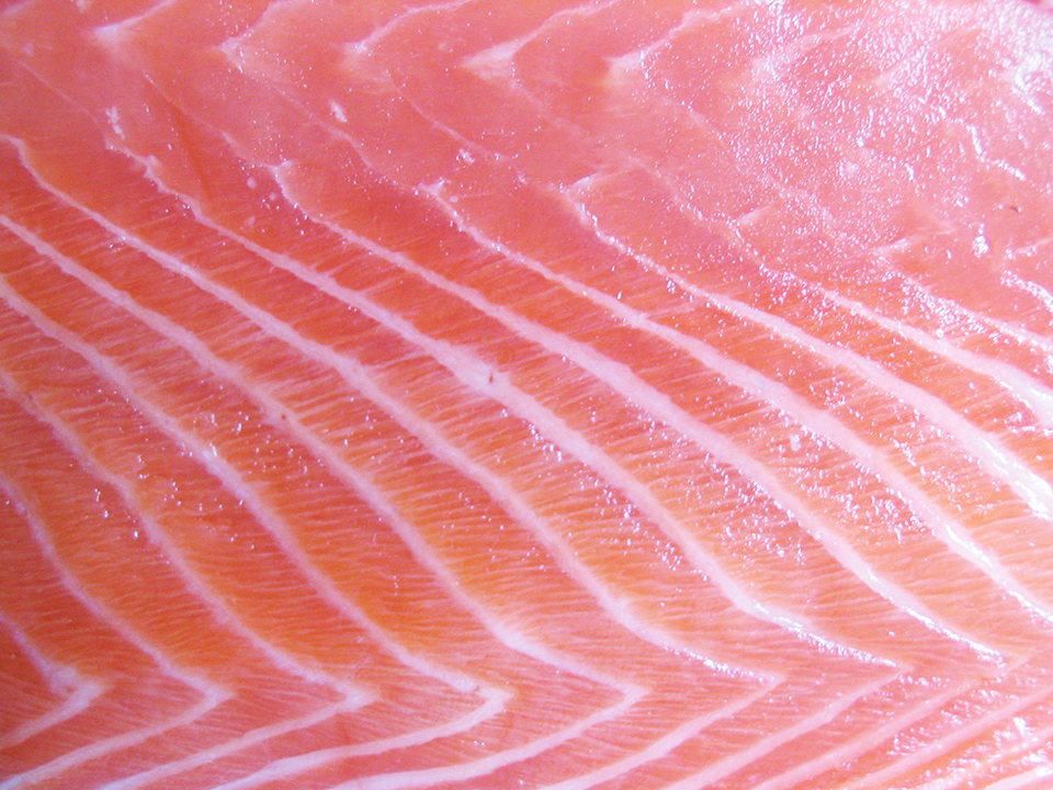 Article image for All about Listeria