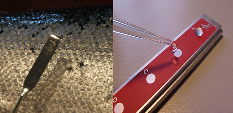 Article image for Protein profiling: Evaluating the condition of farmed Atlantic salmon