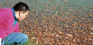 Nucleotide supplementation may offer health benefits in cultured fish
