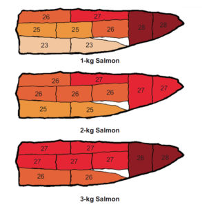 ‘Quality map’ for coho salmon fillets identifies color, lipid distribution