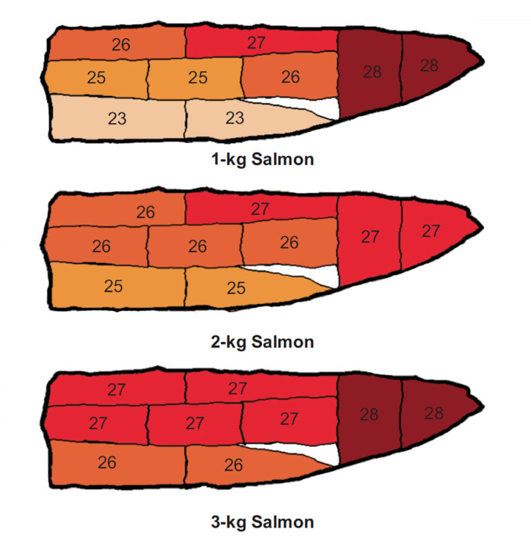 Article image for ‘Quality map’ for coho salmon fillets identifies color, lipid distribution