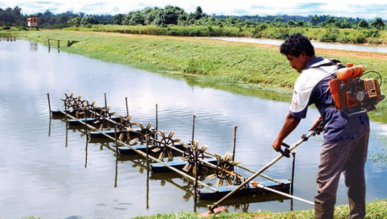 Article image for Responsible chemical use in aquaculture