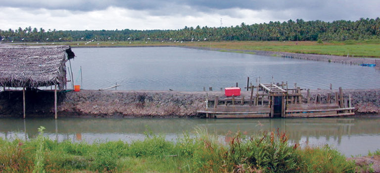 Article image for HACCP programs control antibiotic residues, other risks in aquaculture