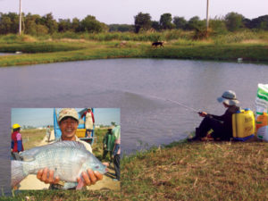 Fish, shrimp respond to pheromone-based feeding attractants