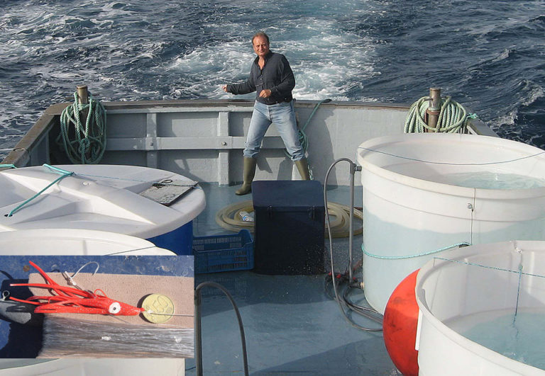Article image for Spanish trials address transport of wild juvenile tuna for ongoing study