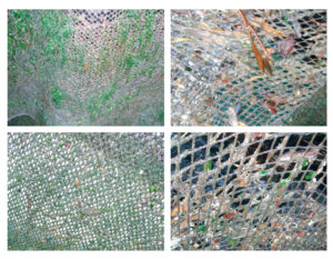 Ultrasound technology controls algae, biofilm growth