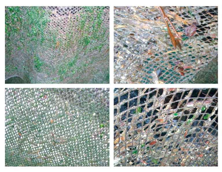 Article image for Ultrasound technology controls algae, biofilm growth
