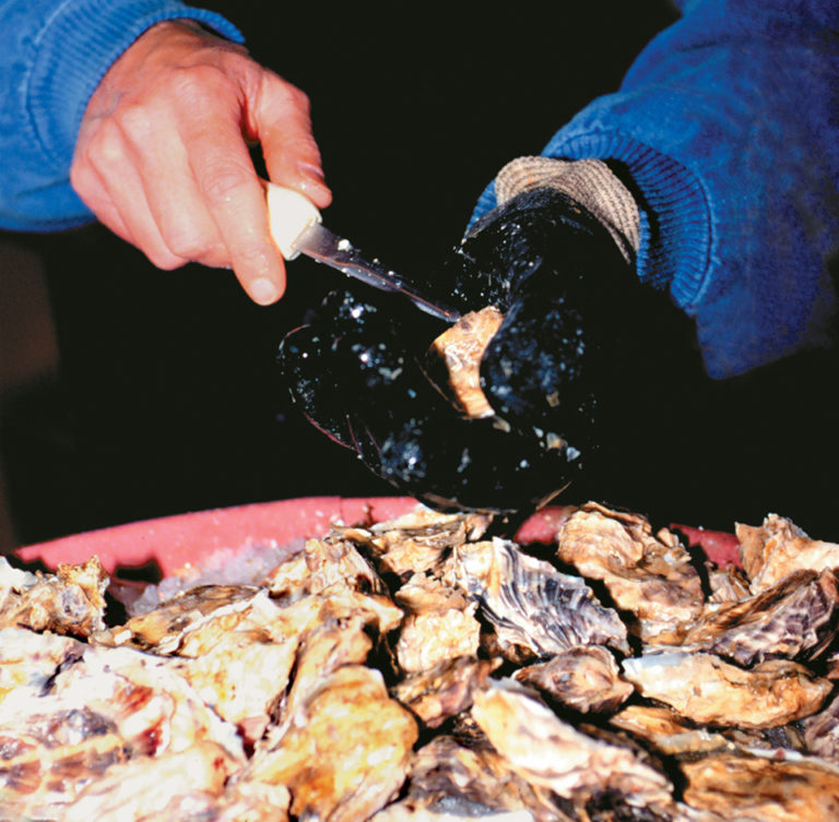 Article image for Vibrio contamination in raw oysters controlled by post-harvest treatments
