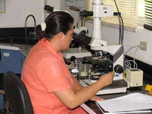 Antimicrobial resistance: Aquaculture to humans, humans to aquaculture?