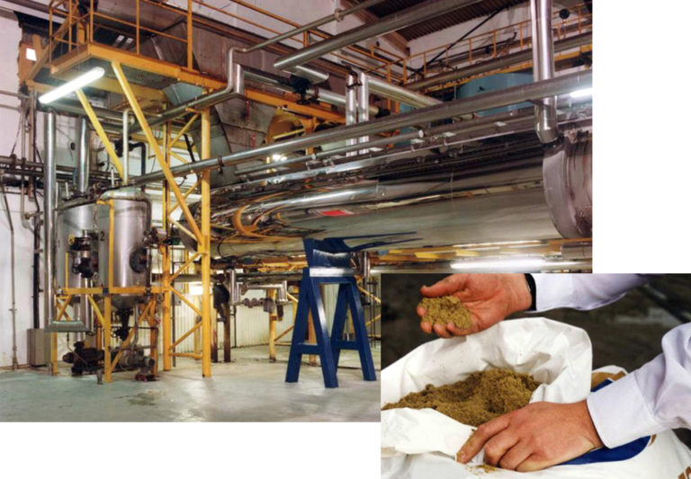 Article image for Fishmeal, fish oil not limiting factors for aquaculture