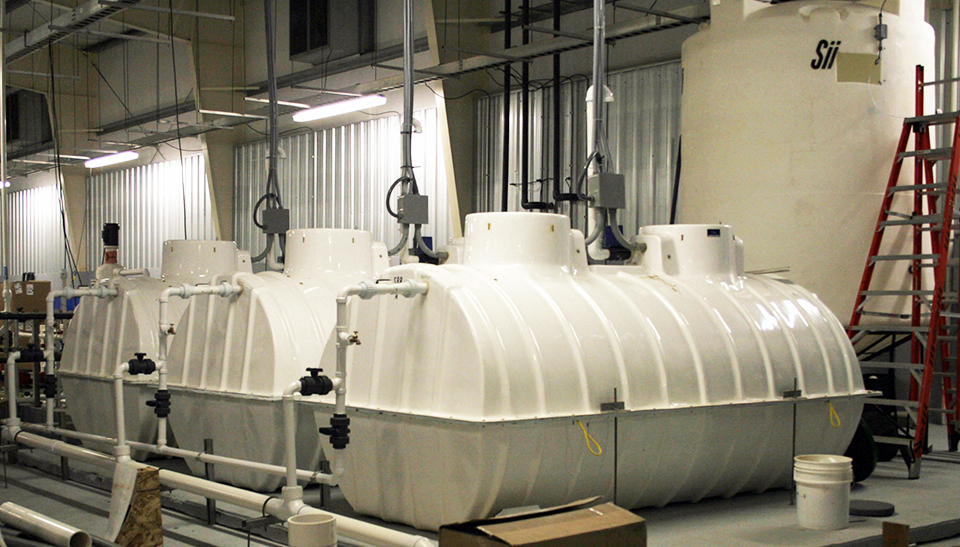 Article image for Suspended-growth biological processes clean RAS wastewater