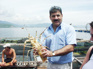 Spiny lobster aquaculture
