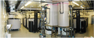 Recirculation: Microbial control strategy for intensive marine larviculture