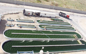 Farming algal fuel: Economics challenge process potential
