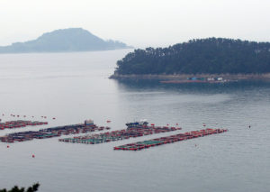 Lake, reservoir characteristics affect cage culture potential