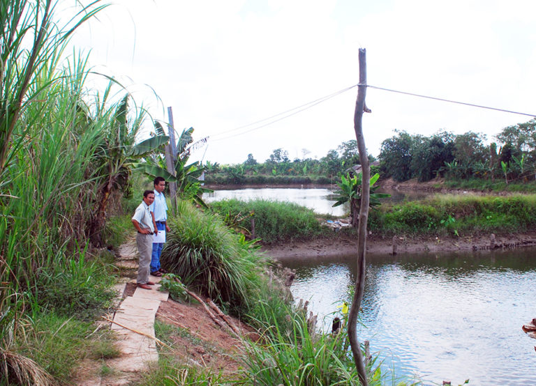 Article image for Energy efficiency of aquaculture