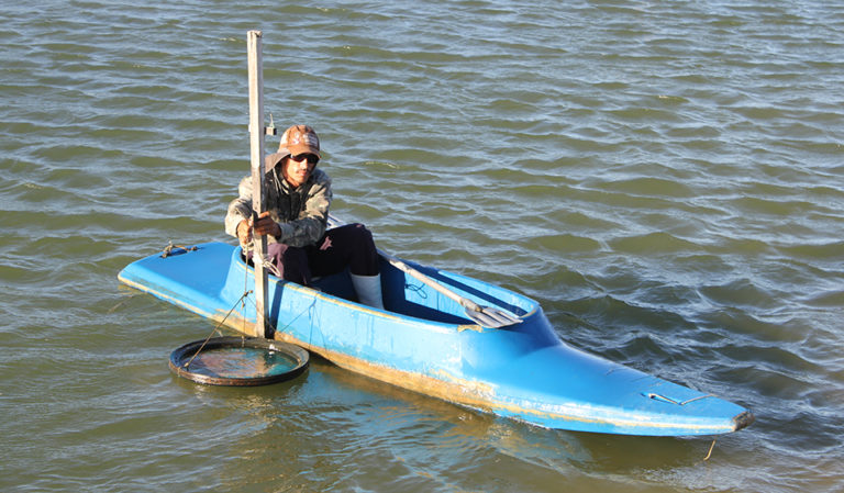 Article image for Shrimp farming in Brazil