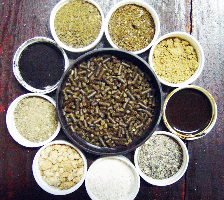 Article image for Research validates forecast declines in shrimp fishmeal, fish oil requirements